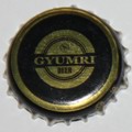 Gyumri beer