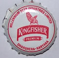 Kingfisher Premium