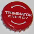 Terminator energy