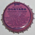 Boing Nectar de Guayaba