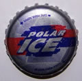 Polar ICE